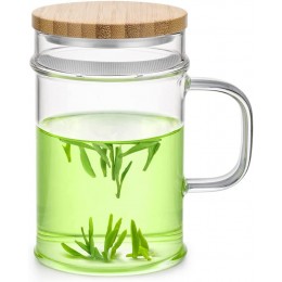 SAMADOYO LC'005 Teetasse aus Glas mit Bambusdeckel und integriertem Edelstahlfilter 400 ml - BKXCOWA1