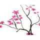 TeaLogic Dessertteller 'Cherry Blossom' 19cm - BMEONKJ4